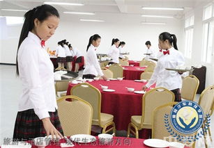 榆林旅游、酒店與職業教育深度解析 從能源化工到旅游管理，再到電商咨詢